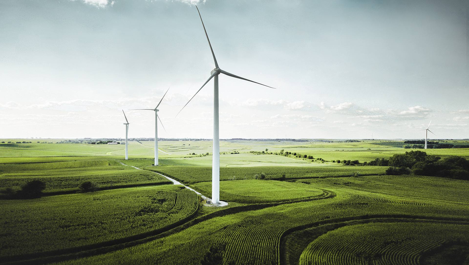 کرال جیربوکس